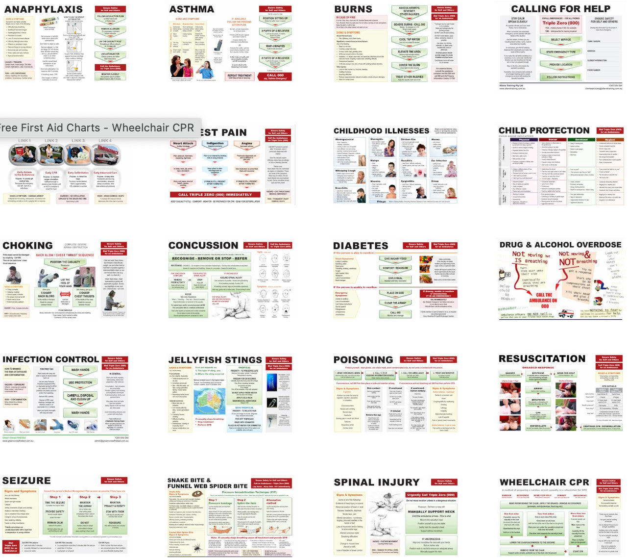 Free First Aid Charts